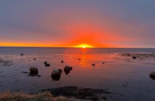 Rocky Harbour Hotel | Wildflowers Country Inn