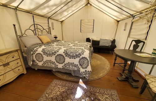 Cave Junction RV Rental | Wildlife, Nature, Glamp #3