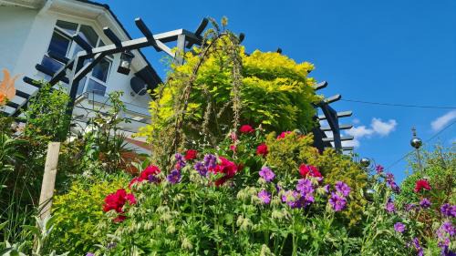 Ludwigsthal Apartment | Wildnisresidenz am Nationalpark - FeWo mediterran