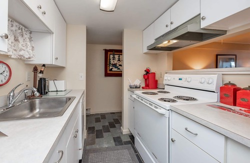 Thayerville Condo | Will O' The Wisp 106A: Recently Renovated Lakefront Efficiency Condo with Firepl