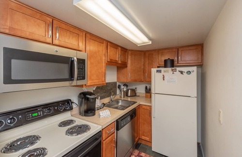 Thayerville Condo | Will O' The Wisp 309B: Lakefront One Bedroom Condo, Queen Beds, Fireplace!