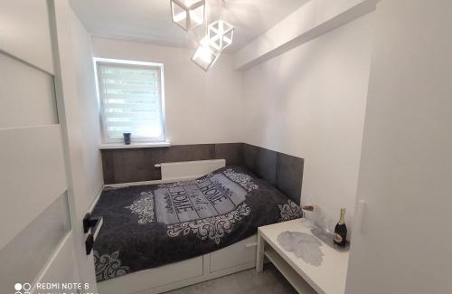 Cetniewo Apartment | Willa Loka Apartamenty