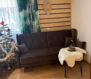 Zakopane House | Willa Omega