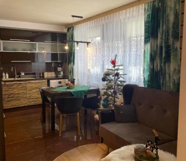 Zakopane House | Willa Omega