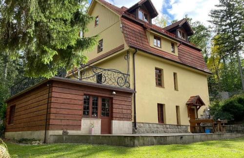 Sosnowka Villa | Willa pod Seidorfem