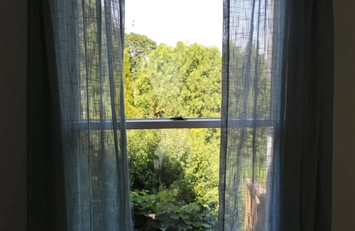 Willard Apartment | Willard Beach–Private Apt Near Portland & Parks