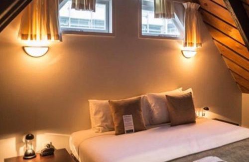 Te Aro Apartment | Willis Village