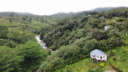 Peermade House | Willostays Amburan hills cabin