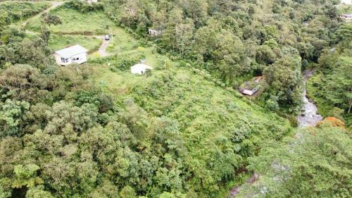 Peermade House | Willostays Amburan hills cabin