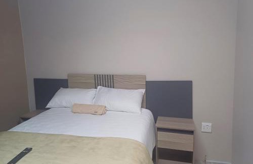 Three Rivers Apartment | Willow guest house