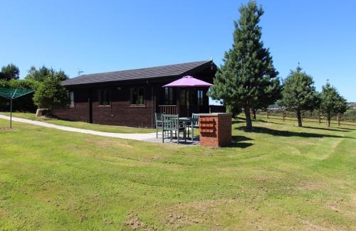 Bodmin House | Willow Lodge