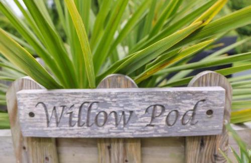 Ford House | Willow Pod