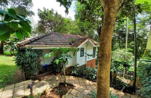 Sulthan Bathery Resort | Willow Resorts Wayanad