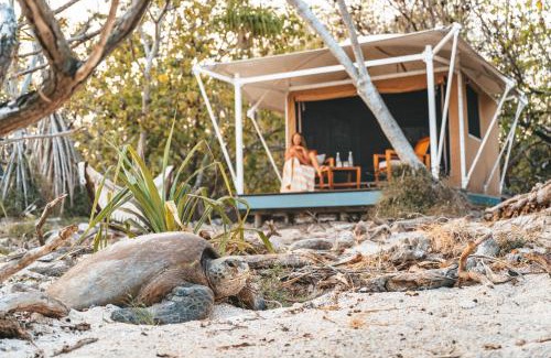 Wilson Island Resort | Wilson Island
