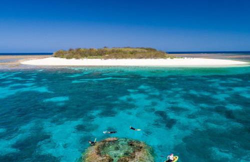 Wilson Island Resort | Wilson Island