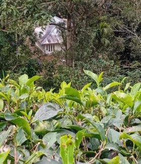 Pallivasal House | Winchester House