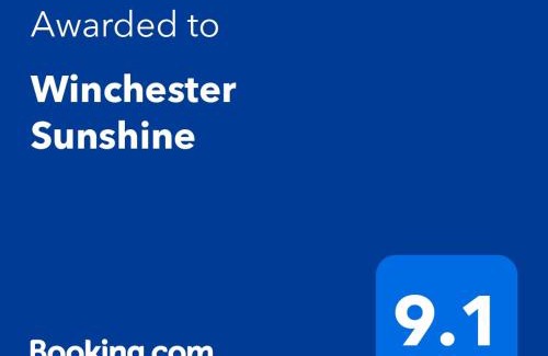 New Kingston Apartment | Winchester Sunshine