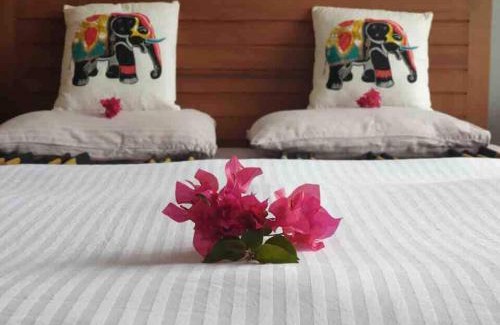 Kandy Villa | Windgate Kandy