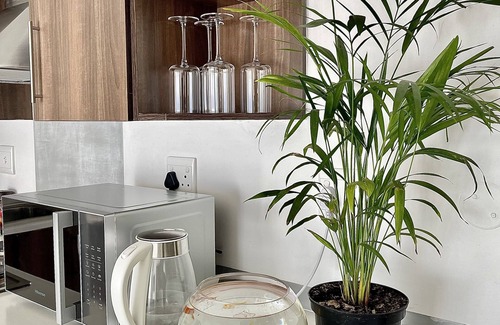 Windhoek Central Apartment | Windhoek City Centre Apartment