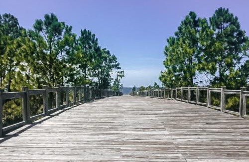 Port St. Joe House | WindMark - Sweet N Salty