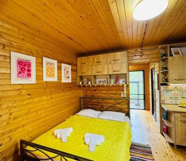 Tkibuli Apartment | Windy Hills