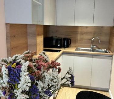 Citluk Apartment | Wine Apartment Brkic