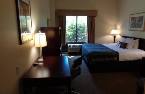 Destin Hotel | Wingate by Wyndham Destin