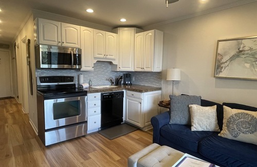 Hilton Head Island Condo | Winter pricing-Oceanview Beach Condo Central air- brand new beautiful flooring