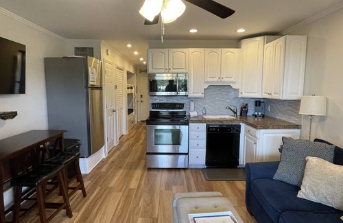 Hilton Head Island Condo | Winter pricing-Oceanview Beach Condo Central air- brand new beautiful flooring
