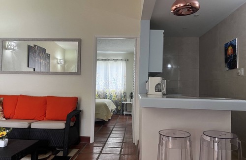 Sunset Crest Condo | Winter/Spring Bookings! Anidele Spice - 1BR in Historic Holetown near Beach/Pool