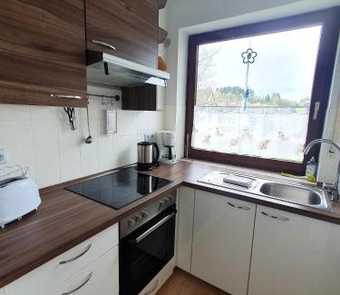 Winterberg Apartment | Winterberg Appartement 21032