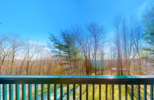 Ludlow Apartment | Winterplace E202