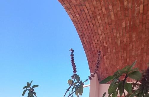 Nuweiba Other | Wishwashi Camp & Spa