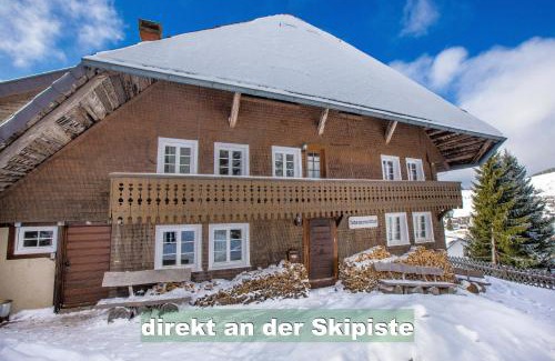 Todtnauberg Apartment | Wohlfühl-Ferienwohnung 80 qm, 8 Personen, Aussicht & Heimkino