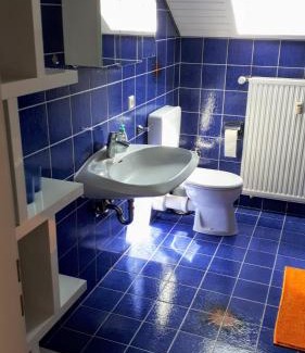 Unzhurst Apartment | Wohlfühlwohnung am Fuße des Schwarzwaldes