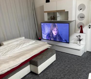 Mitte Apartment | Wohnung am Wöhrder See