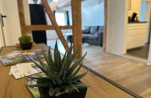 Celle Apartment | Wohnung direkt in Altstadtlage