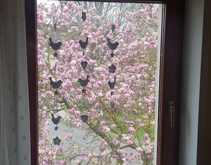 Glesien Apartment | Wohnung im Grünen, Haus Cara, 120m², 4 Zi, Kü, Bad