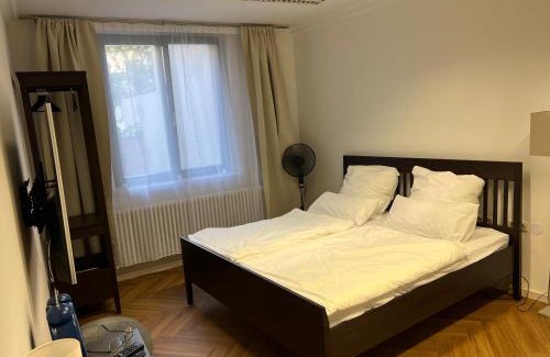 Altstadt Apartment | Wohnung im Universitätsring