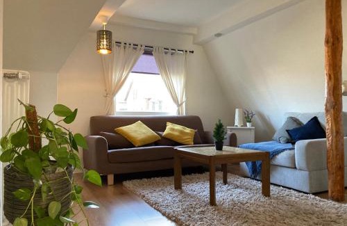 Altstadt Apartment | Wohnung in Lüneburg