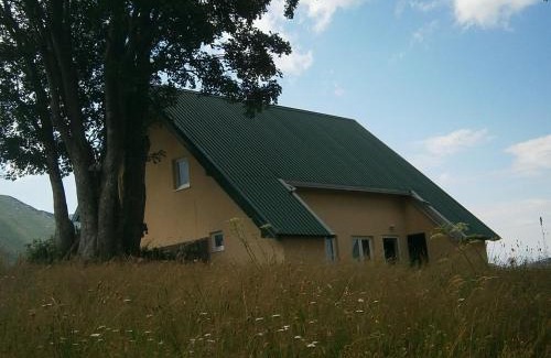 Virak Apartment | Wolf Apartment