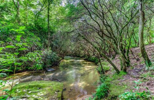 Mineral Bluff House | Wolf Creek Retreat