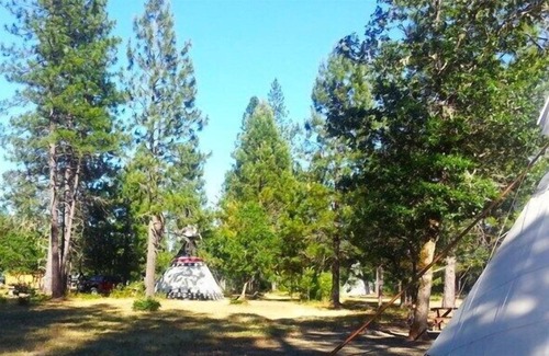 Cave Junction Apartment | Wolf Tipi -is a 16' camping tipi with padded cots - Sleeps up to 5 - Bring your own sleeping bags!