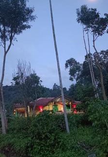 Devikolam Other | Wolfhouse Vettukkad farmstay