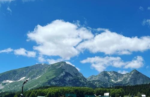Zabljak Ski Chalet | WOLFOREST