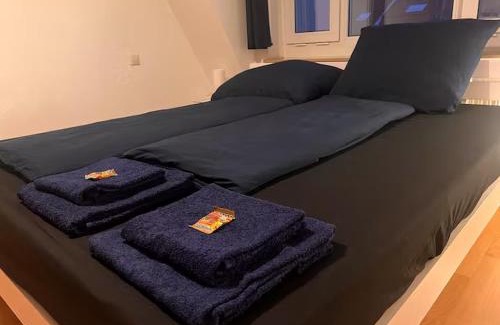 Zentrum-Ost House | Wolfsbau - Privatzimmer direkt im Zentrum, HBF, Arena, Zoo