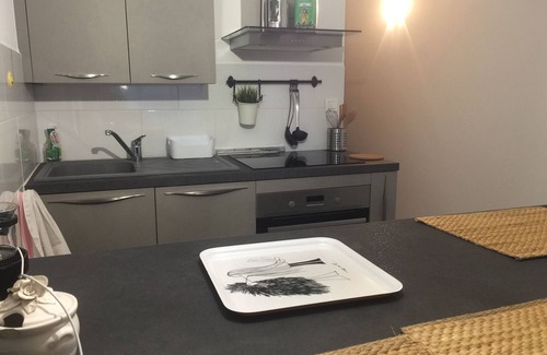 Le Brusc Apartment | Wonderful studio facing the sea, on the island of Embiezs direct access to the beach.
