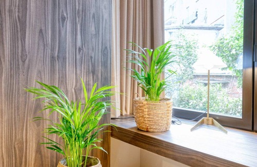 Ghent Apartment | Wonderful renovated room in Historic Ghent home