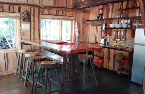 Pucon House | Wonderful rustic cabin, with native trees, with Rio Trancura, equipped