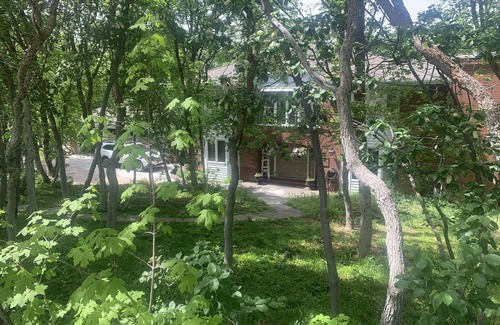 Bountiful Apartment | Wonderful Updated Remodel! Walkout Basement High in Bountiful Mountains!